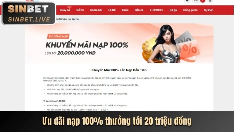 Giao diện quản lý cài đặt cookie trên trình duyệt web